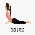 cobra pose